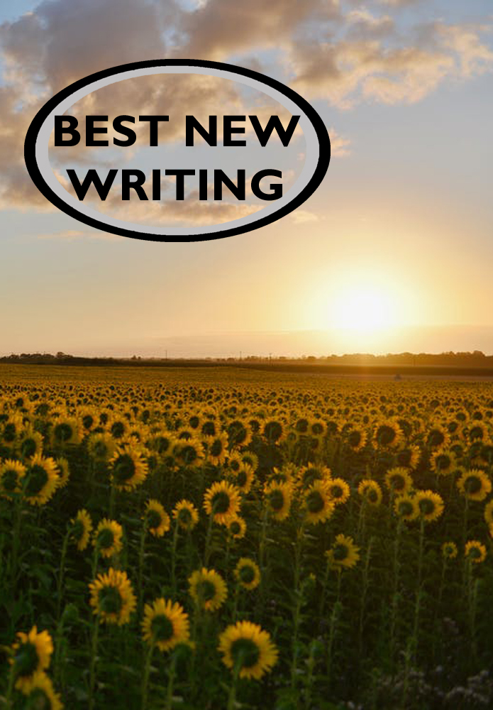 Best New Writing